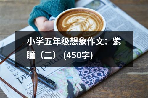 小學(xué)五年級(jí)想象作文：紫瞳（二） (450字)