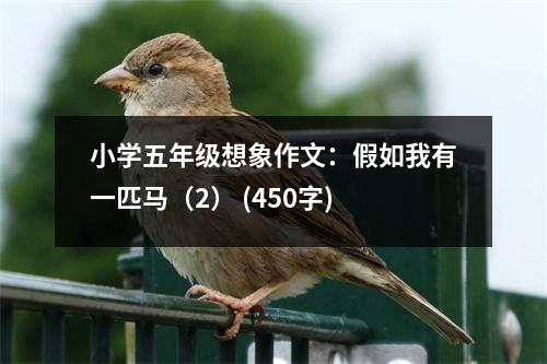 小學五年級想象作文：假如我有一匹馬（2） (450字)