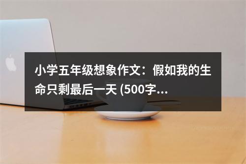 小學五年級想象作文：假如我的生命只剩最后一天 (500字)