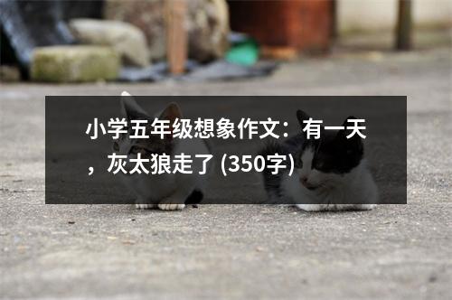 小學五年級想象作文：有一天，灰太狼走了 (350字)