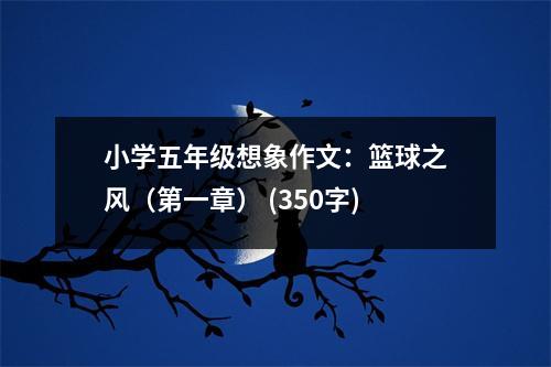 小學(xué)五年級想象作文：籃球之風(fēng)（第一章） (350字)
