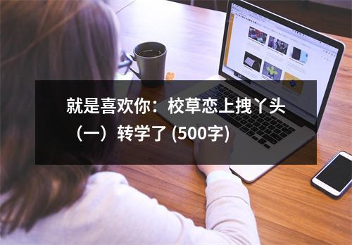 就是喜歡你：校草戀上拽丫頭（一）轉(zhuǎn)學(xué)了 (500字)