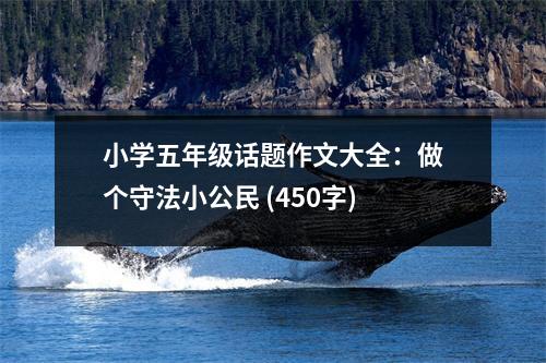 小學(xué)五年級(jí)話題作文大全：做個(gè)守法小公民 (450字)
