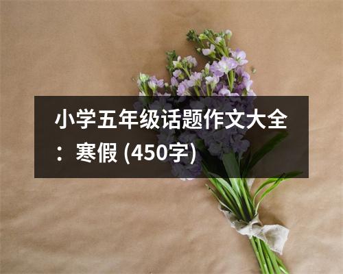 小學(xué)五年級(jí)話題作文大全：寒假 (450字)