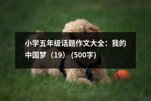小學(xué)五年級話題作文大全：我的中國夢（19） (500字)