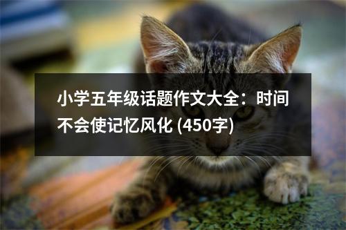 小學(xué)五年級話題作文大全：時間不會使記憶風(fēng)化 (450字)