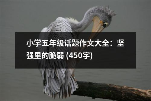 小學(xué)五年級話題作文大全：堅強里的脆弱 (450字)