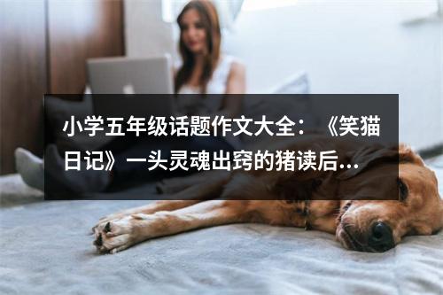 小學(xué)五年級(jí)話題作文大全：《笑貓日記》一頭靈魂出竅的豬讀后感 (450字)