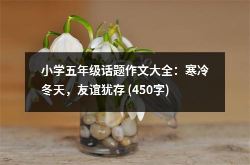 小學(xué)五年級(jí)話題作文大全：寒冷冬天，友誼猶存 (450字)