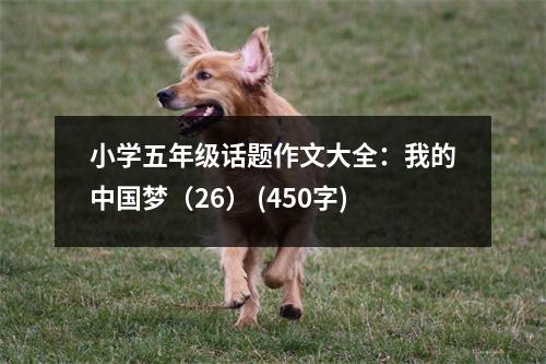 小學(xué)五年級(jí)話題作文大全：我的中國(guó)夢(mèng)（26） (450字)