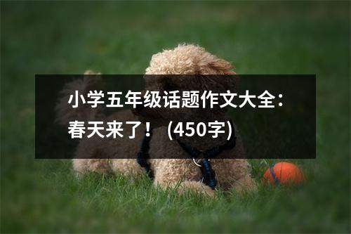 小學(xué)五年級(jí)話題作文大全：春天來(lái)了！ (450字)