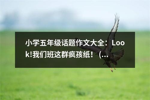 小學(xué)五年級話題作文大全：Look!我們班這群瘋孩紙！ (450字)