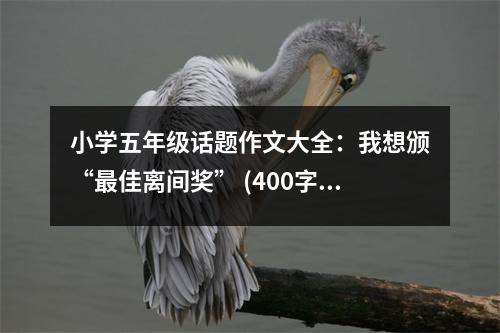 小學(xué)五年級(jí)話題作文大全：我想頒“最佳離間獎(jiǎng)” (400字)