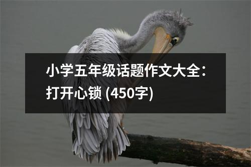 小學(xué)五年級(jí)話題作文大全：打開(kāi)心鎖 (450字)