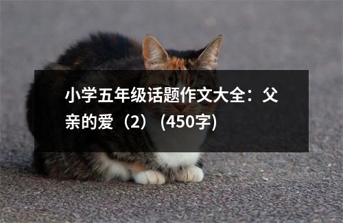 小學(xué)五年級話題作文大全：父親的愛（2） (450字)