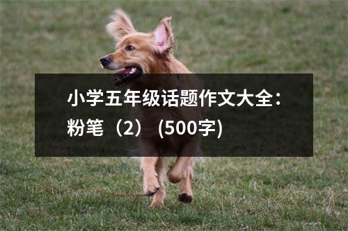 小學(xué)五年級話題作文大全：粉筆（2） (500字)
