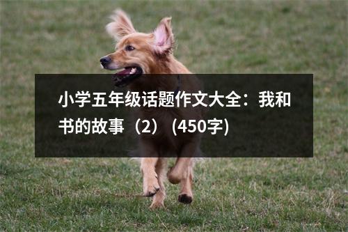 小學(xué)五年級(jí)話(huà)題作文大全：我和書(shū)的故事（2） (450字)