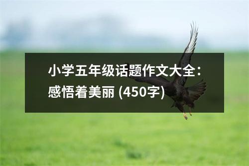 小學(xué)五年級話題作文大全：感悟著美麗 (450字)