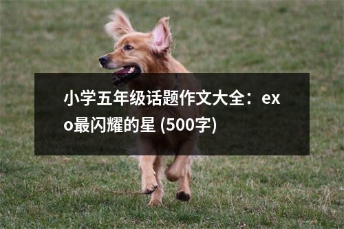 小學(xué)五年級(jí)話題作文大全：exo最閃耀的星 (500字)
