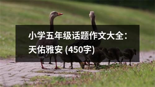 小學(xué)五年級(jí)話題作文大全：天佑雅安 (450字)