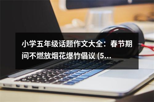 小學(xué)五年級話題作文大全：春節(jié)期間不燃放煙花爆竹倡議 (500字)