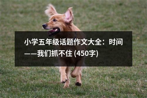 小學(xué)五年級話題作文大全：時間——我們抓不住 (450字)