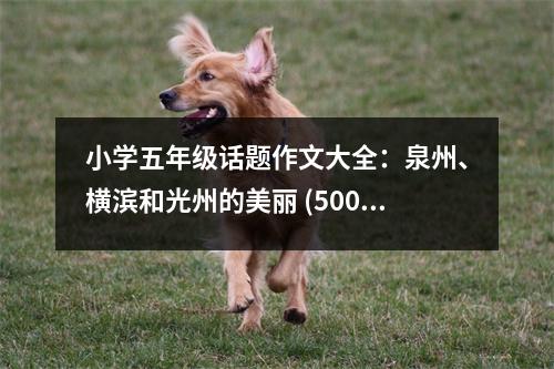 小學五年級話題作文大全：泉州、橫濱和光州的美麗 (500字)