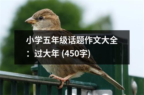 小學(xué)五年級話題作文大全：過大年 (450字)