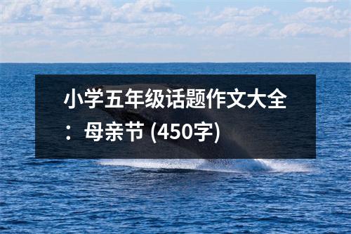 小學(xué)五年級(jí)話題作文大全：母親節(jié) (450字)