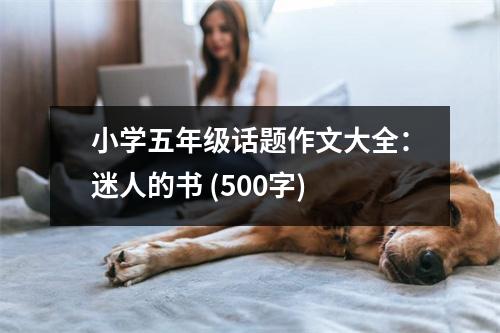 小學(xué)五年級(jí)話題作文大全：迷人的書 (500字)