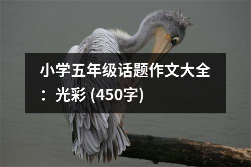小學(xué)五年級(jí)話題作文大全：光彩 (450字)