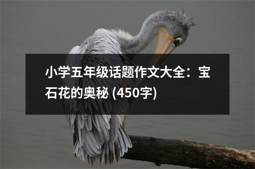 小學(xué)五年級(jí)話題作文大全：寶石花的奧秘 (450字)