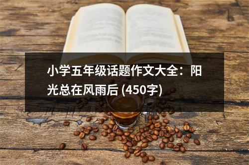 小學(xué)五年級(jí)話題作文大全：陽光總在風(fēng)雨后 (450字)