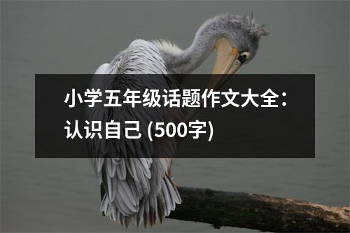 小學(xué)五年級(jí)話題作文大全：認(rèn)識(shí)自己 (500字)