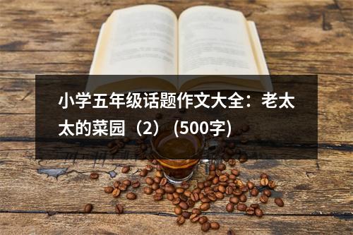 小學(xué)五年級(jí)話題作文大全：老太太的菜園（2） (500字)