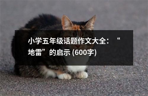 小學(xué)五年級話題作文大全：“地雷”的啟示 (600字)