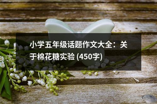 小學(xué)五年級(jí)話題作文大全：關(guān)于棉花糖實(shí)驗(yàn) (450字)