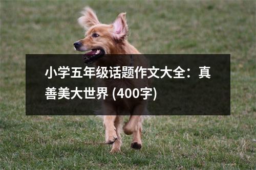 小學(xué)五年級話題作文大全：真善美大世界 (400字)