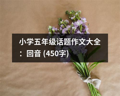 小學(xué)五年級(jí)話題作文大全：回音 (450字)