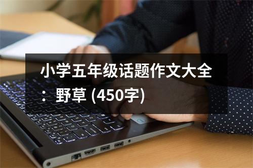 小學(xué)五年級(jí)話題作文大全：野草 (450字)