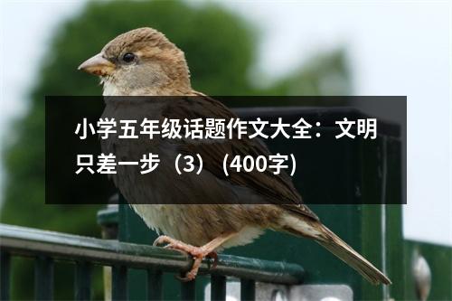 小學五年級話題作文大全：文明只差一步（3） (400字)