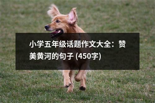 小學(xué)五年級話題作文大全：贊美黃河的句子 (450字)