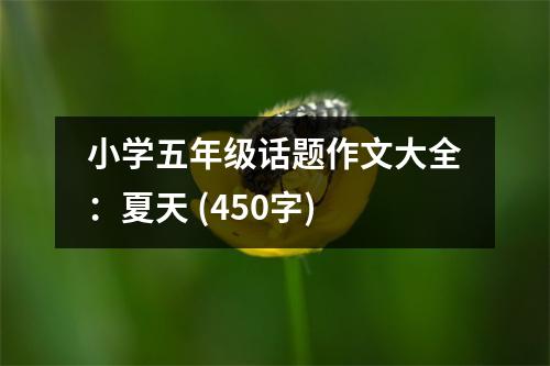 小學(xué)五年級話題作文大全：夏天 (450字)