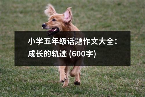 小學(xué)五年級話題作文大全：成長的軌跡 (600字)