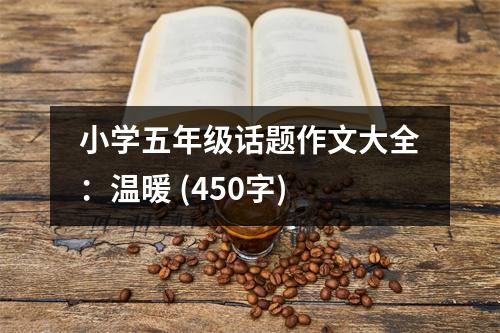 小學(xué)五年級話題作文大全：溫暖 (450字)