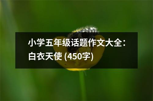 小學(xué)五年級話題作文大全：白衣天使 (450字)