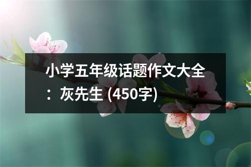 小學五年級話題作文大全：灰先生 (450字)