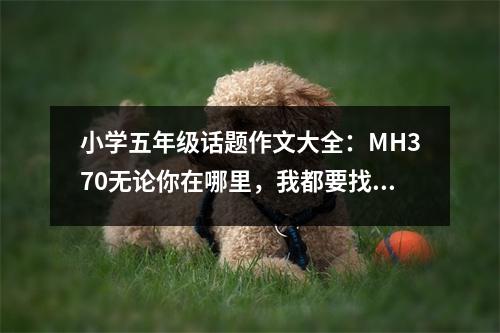 小學(xué)五年級話題作文大全：MH370無論你在哪里，我都要找到你！ (450字)
