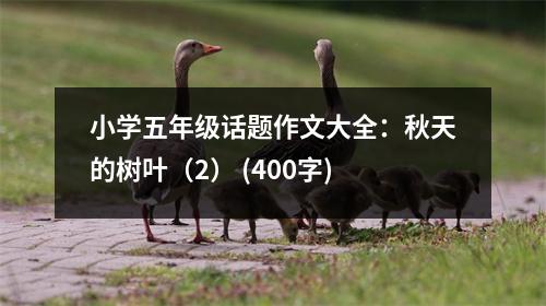小學(xué)五年級話題作文大全：秋天的樹葉（2） (400字)