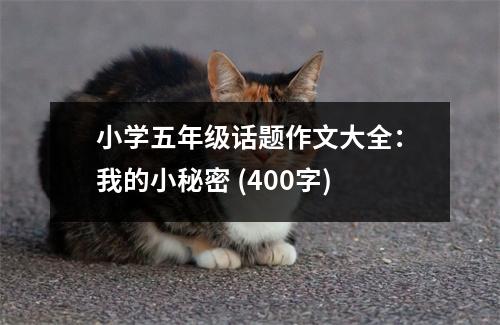 小學(xué)五年級話題作文大全：我的小秘密 (400字)
